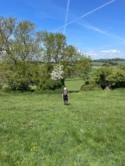 Waypoint 2 The farm in the landscape