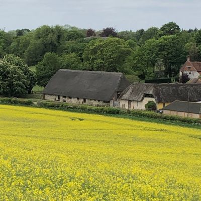 Waypoint 4 The thatched houses